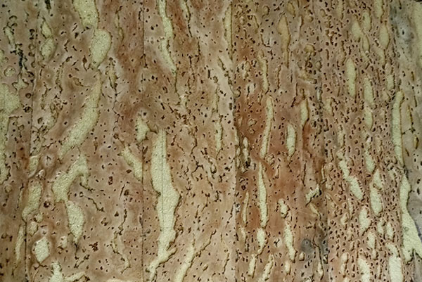 Cork wall paper